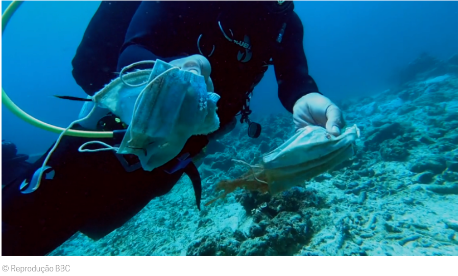 "Mergulhadores descobrem recife de coral coberto de máscaras descartáveis"